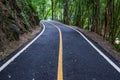 Asphalt road pavement at national park Chiang mai