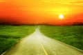 Asphalt road with rice field in countryside along to sunset.