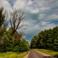 Asphalt road running through deciduous forest with clouds on a sunny day Royalty Free Stock Photo