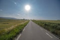 Asphalt road running through fields with ripening grain in the Holy Cross Mountains . Royalty Free Stock Photo