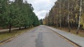 The asphalt road runs between concrete tile sidewalks and grass lawns with thuyas and birch trees. There are cracks in the asphalt Royalty Free Stock Photo