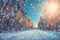 Asphalt road in snowy winter on beautiful sunny day