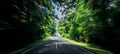 Asphalt road and speed motion blur on highway in summer with green trees forest at countryside Royalty Free Stock Photo