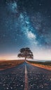 Asphalt road stretches beneath starry heavens, lone tree stands guard