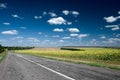 Asphalt road stretching out into the field Royalty Free Stock Photo