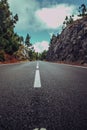 Asphalt road in summer forest with beautiful landscape