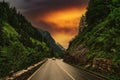 Asphalt road in summer forest at sunset. Alp mountains Royalty Free Stock Photo