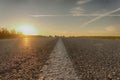 Asphalt road at sunset with center line Royalty Free Stock Photo