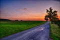 Asphalt road, sunset over meadow and broad leaf tree at summer evening, sky, Royalty Free Stock Photo