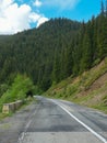Asphalt road in Sureanu Mountains