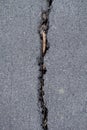 Asphalt road surface crack Royalty Free Stock Photo