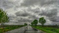 Asphalt road surrounded by trees in a rainy day seen behind a car wondow with raindrops on it