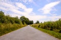 Asphalt Road to Infinity Royalty Free Stock Photo