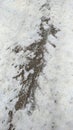 Asphalt road, track partially cleared of snow