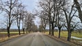 An asphalt road between trees without leaves in the first spring days Royalty Free Stock Photo