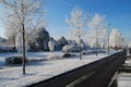 Asphalt road, trees snow and blue sky