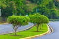 Asphalt road with trees