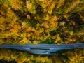 Asphalt road trough forest in fall, top down aerial from above Royalty Free Stock Photo