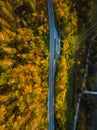 Asphalt road trough forest in fall, top down aerial from above Royalty Free Stock Photo