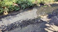 Asphalt Road Turns into a Pool of Water