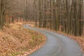 Asphalt road through winter forest without snow, full of leaves on the ground and bare trees Royalty Free Stock Photo