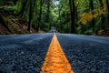 Asphalt road with yellow markings, close-up. Royalty Free Stock Photo