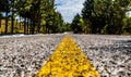 Asphalt road with yellow markings passing in the forest. Royalty Free Stock Photo