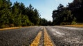 Asphalt road with yellow markings passing in the forest. Royalty Free Stock Photo