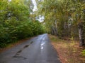 Asphalt road in Yuri Gagarin Nature Park in autumn in Chelyabinsk, Russia.