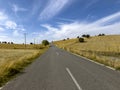 Asphalt roads, harvest fields, trees and telephone poles in the countryside