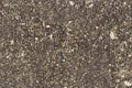 Asphalt rough texture background gritty-10