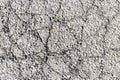 Asphalt rough texture background gritty-6