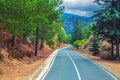 Asphalt serpentine road in Troodos mountain range with roadside fence and trees