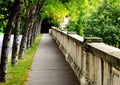 Asphalt sidewalk in diminishing perspective with lush green leaves and foliage