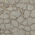 Asphalt surface of the road with a cracks in the middle, background. Web of cracks. Textured backdrop Royalty Free Stock Photo