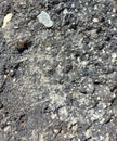 asphalt texture background. dark stone, road. rough.