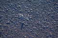 Asphalt texture with glass shards Royalty Free Stock Photo