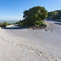 Asphalt to the Mount Tabor Royalty Free Stock Photo