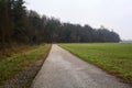 Asphalt trail bordered by a cultivated field and a forest next to a stream of water on a cloudy day in the italian countryside Royalty Free Stock Photo