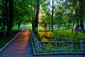 Asphalt walkway in the courtyard of the Moscow house