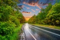 Asphalt wet road panorama in countryside on rainy summer day. autumn rain road through forest under dramatic sunset Royalty Free Stock Photo