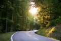 Asphalt winding curve road in a beech forest Royalty Free Stock Photo