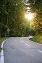 Asphalt winding curve road in a beech forest Royalty Free Stock Photo