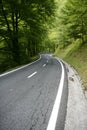 Asphalt winding curve road in a beech forest Royalty Free Stock Photo