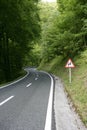 Asphalt winding curve road in a beech forest Royalty Free Stock Photo