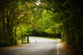 Asphalt winding curve road in a beech forest Royalty Free Stock Photo