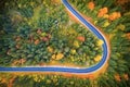 Asphalted road in the autumn mountain forest Royalty Free Stock Photo