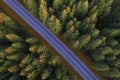 Asphalted road in the autumn mountain forest Royalty Free Stock Photo