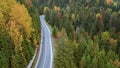 Asphalted road in the autumn mountain forest Royalty Free Stock Photo