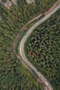 Asphalted road in the autumn mountain forest Royalty Free Stock Photo